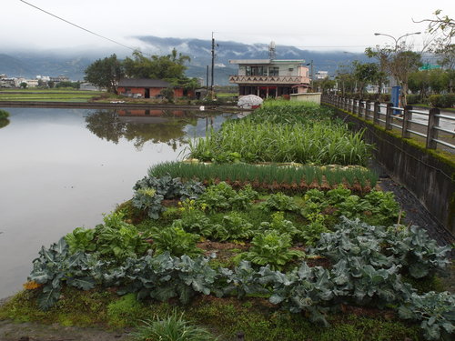 宜蘭太平山+青蔥文化館+火水私坊+羅東文化工場