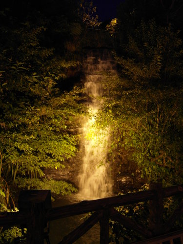 花岩山林