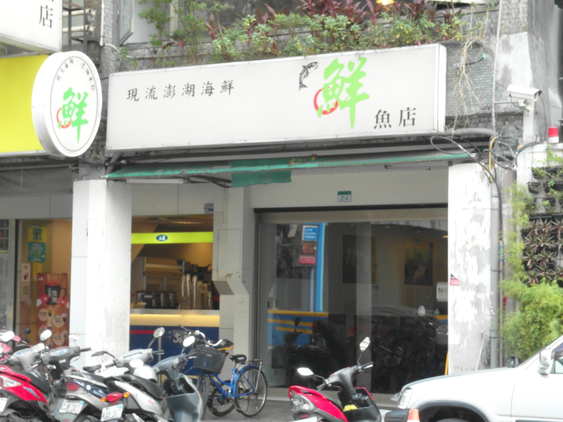 現流澎湖海鮮-鮮魚店